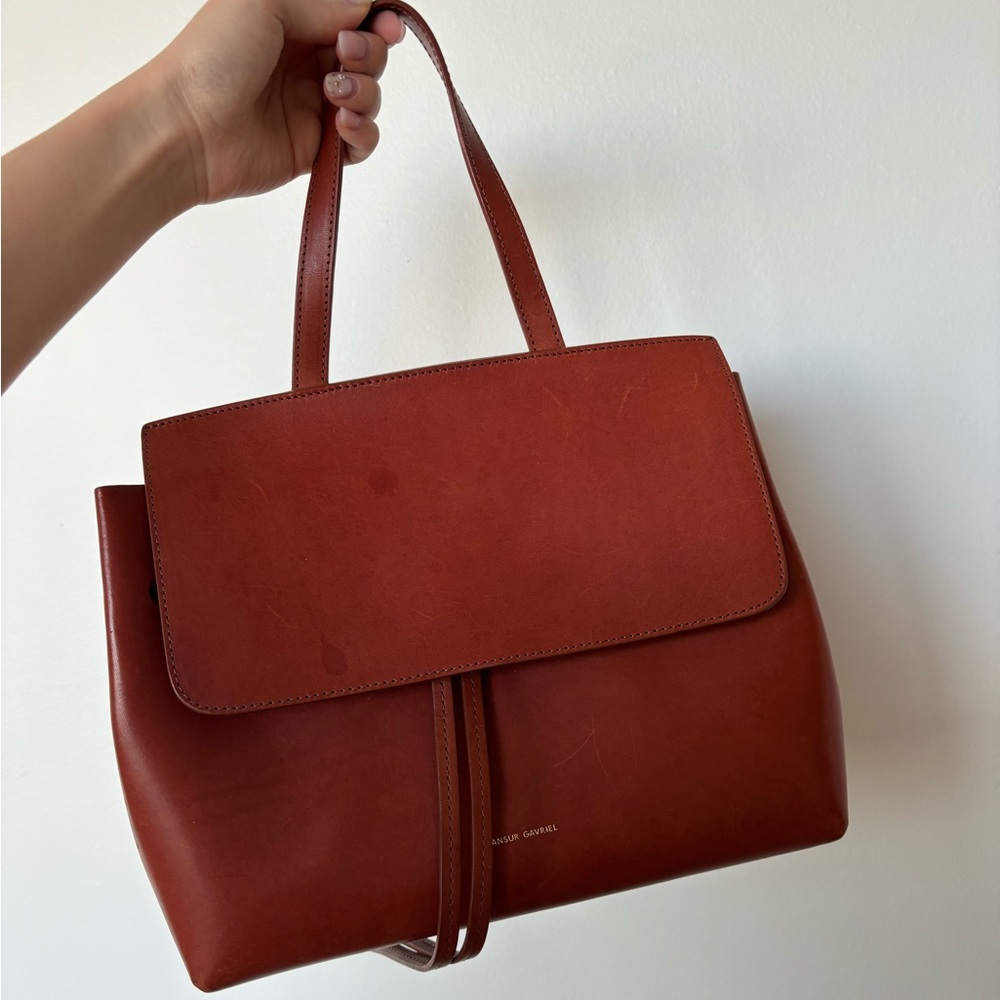 Mansur Gavriel small lady bag vegetable tanned leather with strap, dust bag, box